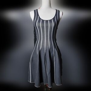 Nordstrom G.I.N. Dress Sleeveless Semi Sheer XS